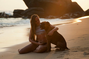 4 Tips for Taking Care of Pets in Summer