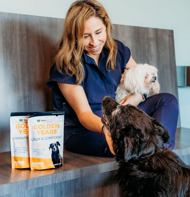 4 Ways to Keep Aging Dogs Healthy