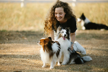 5 Tips to Prepare Your Pets for the Holidays