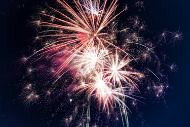 5 Ways to Keep Your Dog Calm During the 4th of July Fireworks