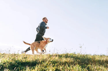A Vet's Advice on How to Choose the Best Joint Supplements for Dogs (2026)