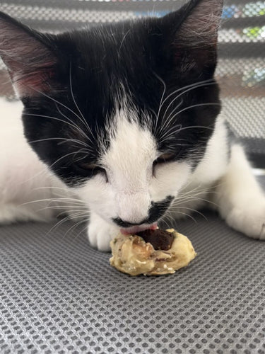 Pet-Safe Recipes: DIY Chill-Out Cat Treats