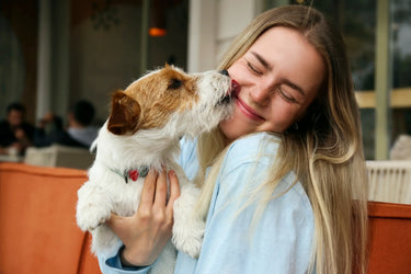 How to Clean Dog Teeth Without Brushing: 4 Expert Tips