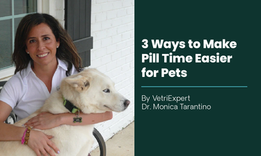 Tips if Your Cat or Dog Won’t Take Pills