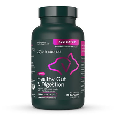 Front of Healthy Gut & Digestion bottle
