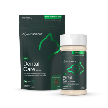 Daily Dental Bundle for Cats group shot