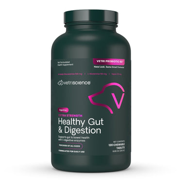 Front of Extra Strength Healthy Gut & Digestion Chewable Tablets bottle