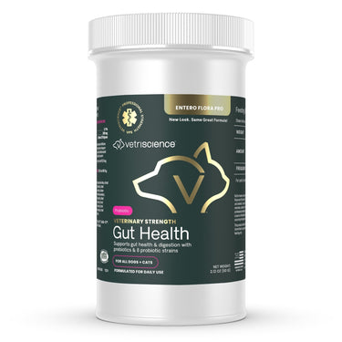 Front of the VetriScience Veterinary Strength Gut Health for Dogs & Cats bottle