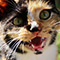 Alt attribute not provided for this image