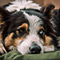 Alt attribute not provided for this image