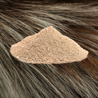 Alt attribute not provided for this image