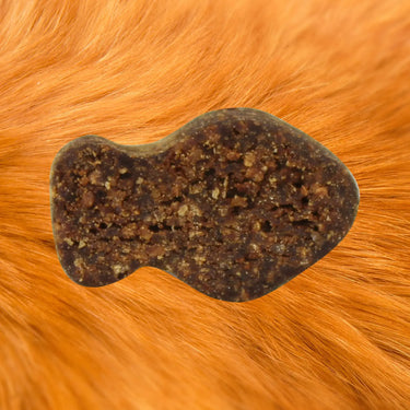 Alt attribute not provided for this image